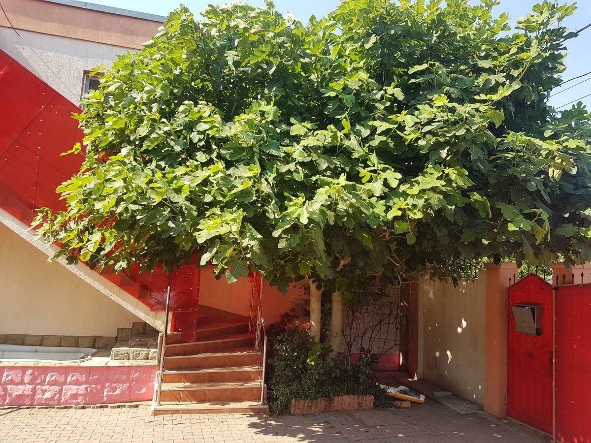 Pensiunea Victoria Mangalia Exteriör bild